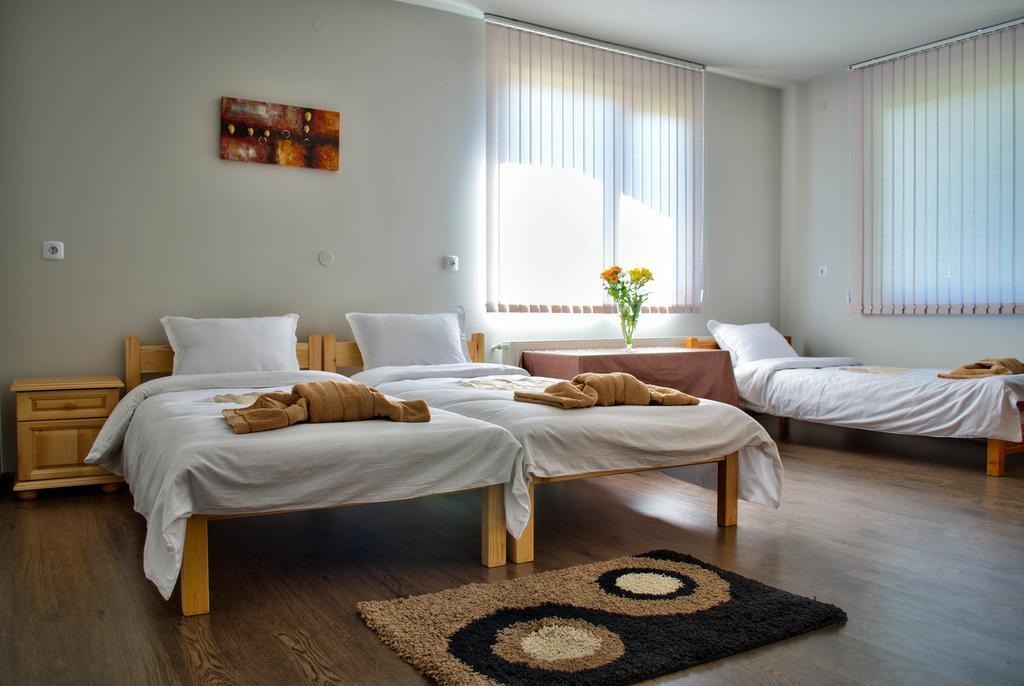 Dariya Guest House Сапарева-Баня Номер фото